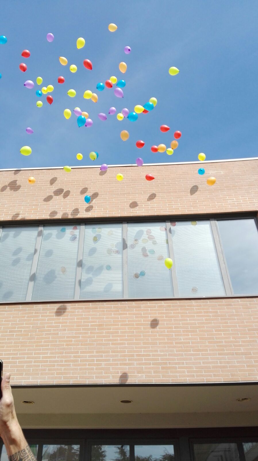 Un'immagine che ritrae forniture per feste, palloncino e coriandoli.