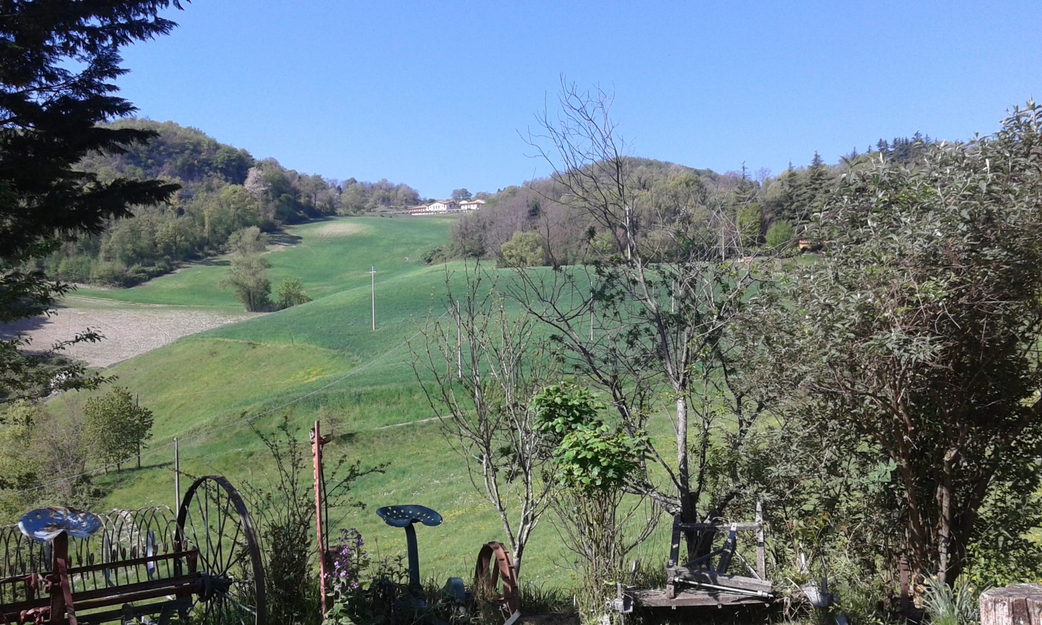 Un'immagine che ritrae piante, arbusto, paesaggio, collina e giardino.
