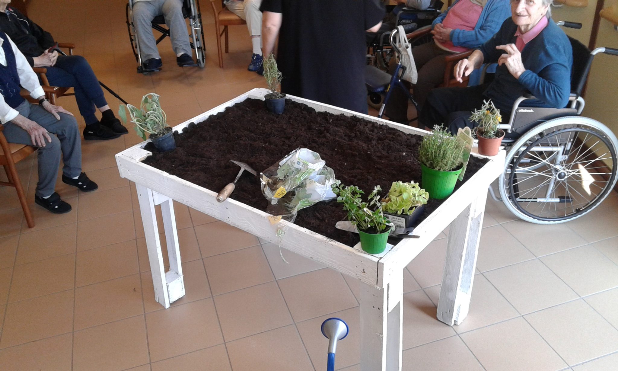 Un'immagine che ritrae mobilia, sedia, pianta da appartamento, composizione floreale e fioraio.