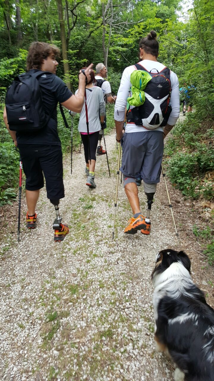 Un'immagine che ritrae borsa, zaino, cane, avventura e bastone da trekking.