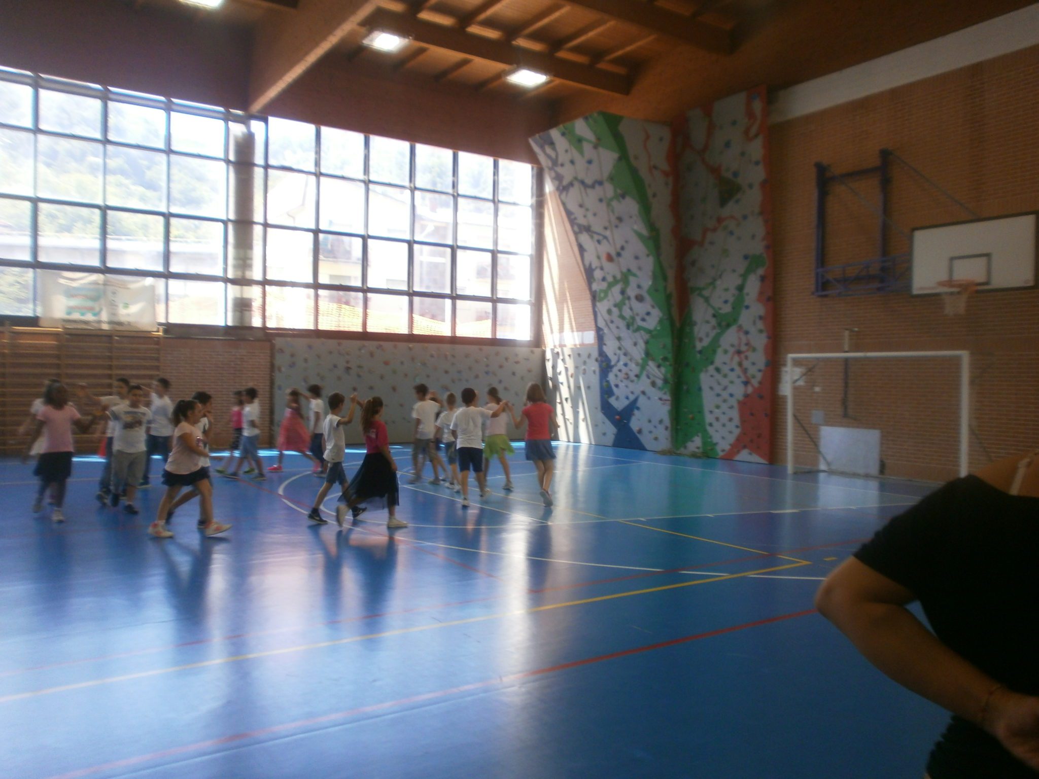 Un'immagine che ritrae impianto sportivo, pavimentazione, pavimento, ricreazione e sala.