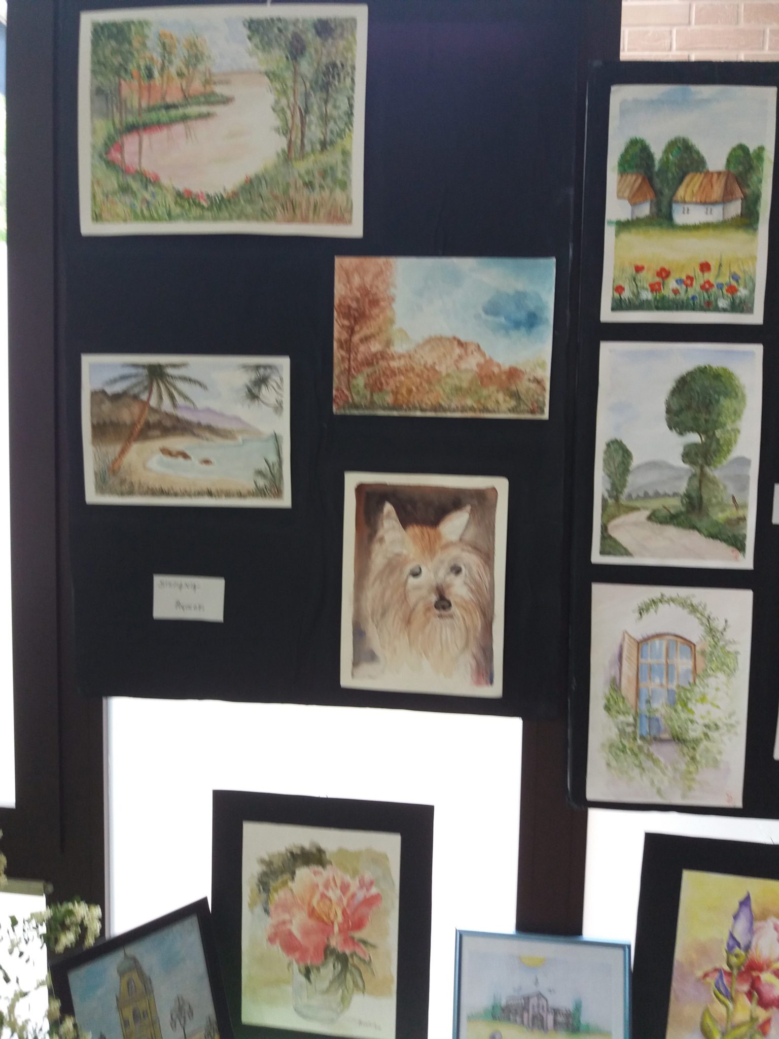 Un'immagine che ritrae cornice, arti visive, camera, collezione e arti creative.