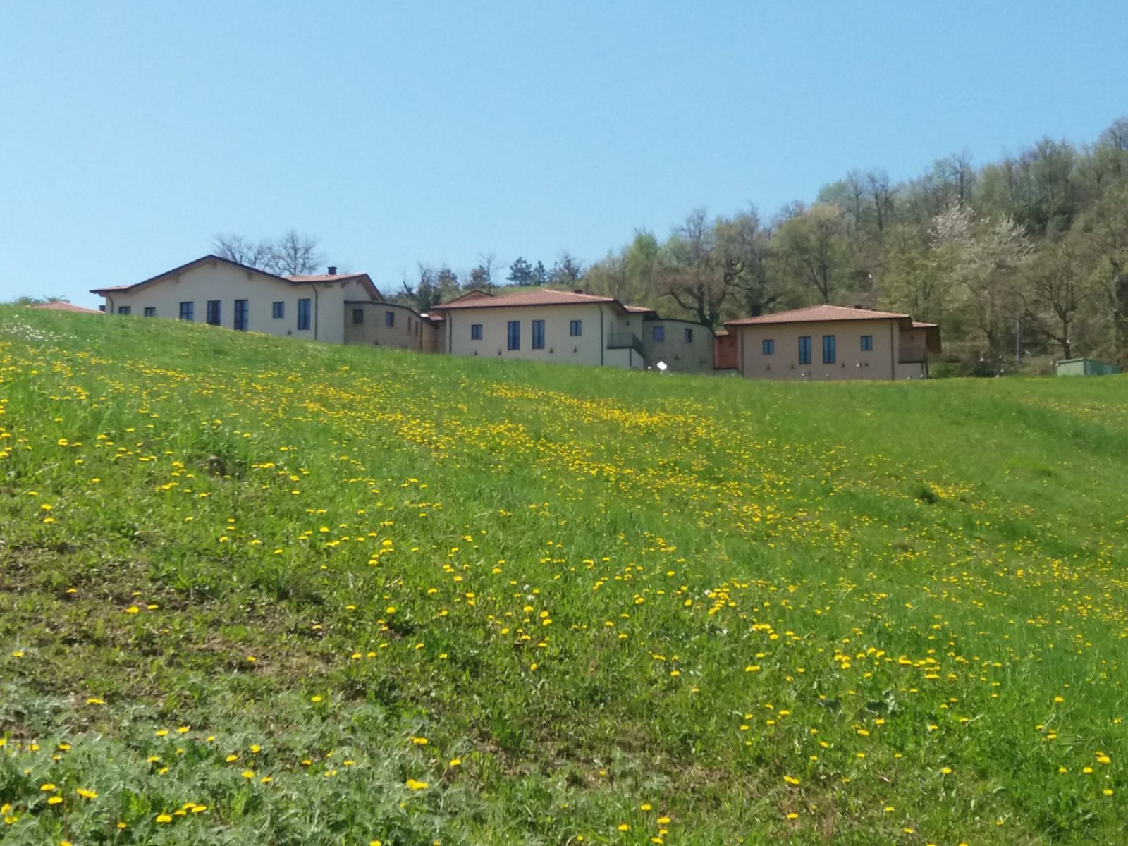 Un'immagine che ritrae erba, piante, prateria, pianura e zona rurale.