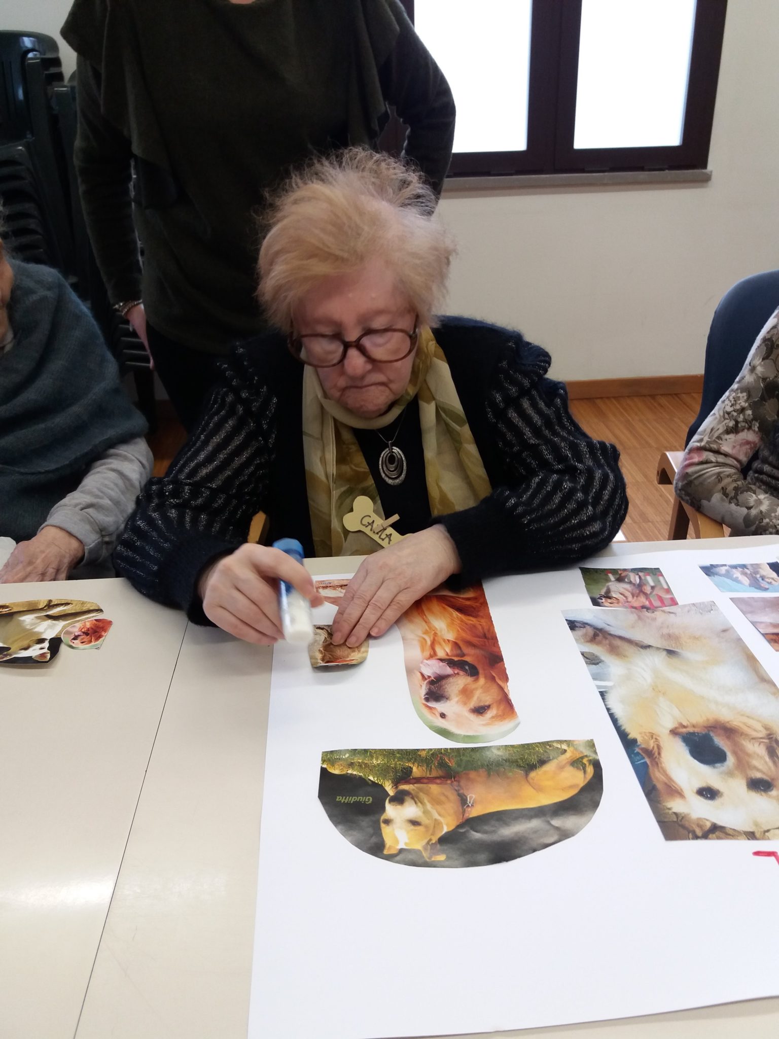 Un'immagine che ritrae cornice, mostra, scrivania e canidi.