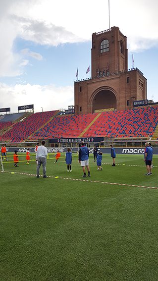 Un'immagine che ritrae impianto sportivo, stadio, erba artificiale, logo e fan.