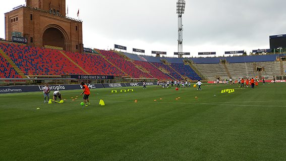Un'immagine che ritrae impianto sportivo, stadio, fan, arena e logo.